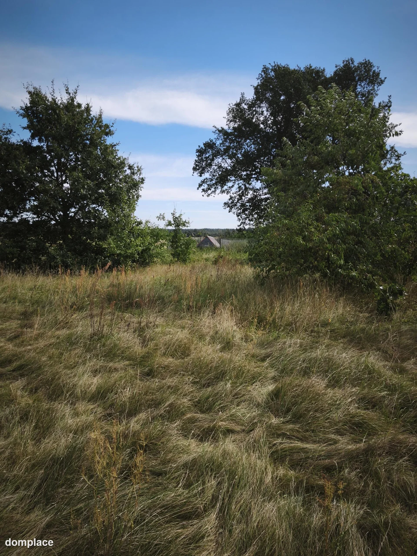 Działka — makowski, Młynarze