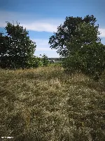 Działka — makowski, Młynarze — zdjęcie 1