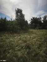 Działka — makowski, Młynarze — zdjęcie 2