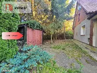 *leśny mikroklimat -  dom na obrzeżach Kcyni — zdjęcie 20