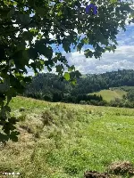 Działka — Jaworzynka — zdjęcie 1