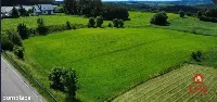 ATRAKCYJNA DZIAŁKA 8 964 m² – GULBIENISZKI — zdjęcie 3