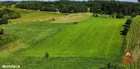 ATRAKCYJNA DZIAŁKA 8 964 m² – GULBIENISZKI — zdjęcie 4
