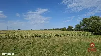 Działka inwestycyjna przy S8 — zdjęcie 4