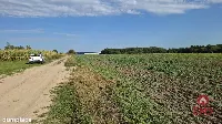 Działka inwestycyjna przy S8 — zdjęcie 5