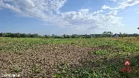 Działka inwestycyjna przy S8 — zdjęcie 6