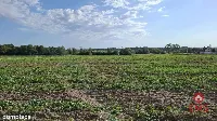 Działka inwestycyjna przy S8 — zdjęcie 8