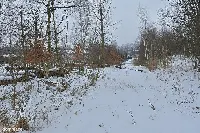 Działka — wałbrzyski, Wałbrzych — zdjęcie 3