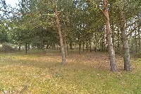 Działka — oławski, Jelcz-Laskowice — zdjęcie 4