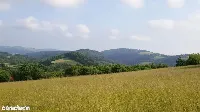 Działka — wałbrzyski, Walim — zdjęcie 12