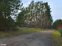 Działka — oławski, Jelcz-Laskowice — zdjęcie 5