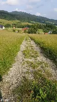 Działka — wałbrzyski, Walim — zdjęcie 6
