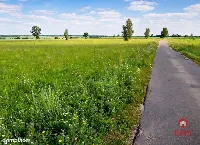 Działki pod zabudowę — zdjęcie 2