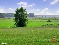 Piękne malownicze działki  z WZ, gmina Suraż — zdjęcie 7