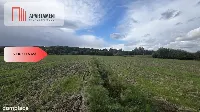 Działka rolna - Dragacz - 3133 mkw. — zdjęcie 2