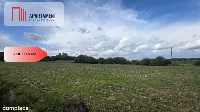 Działka rolna - Dragacz - 3133 mkw. — zdjęcie 3