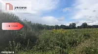 Działka rolna - Dragacz - 3133 mkw. — zdjęcie 5