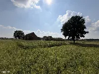 Siedlisko 5,17 ha z ceglaną stodołą — Pawłów, gm. Sośnie — zdjęcie 4