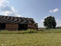 Siedlisko 5,17 ha z ceglaną stodołą — Pawłów, gm. Sośnie — zdjęcie 3