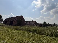 Siedlisko 5,17 ha z ceglaną stodołą — Pawłów, gm. Sośnie — zdjęcie 6