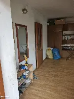 2 Domy, siedlisko 0,3170ha, powiat Sieradz gm. Błaszki — zdjęcie 7