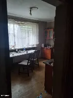 2 Domy, siedlisko 0,3170ha, powiat Sieradz gm. Błaszki — zdjęcie 12