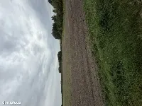 DUŻA DZIAŁKA 3,4 HA BLISKO GRÓJCA — zdjęcie 3