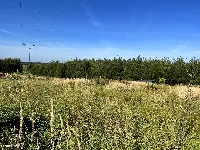 OLCHOWA – 2733 m² | 2 działki | pozwolenie na budowę 2 domów | projekty | media | możliwość kontynuowania budowy — zdjęcie 7
