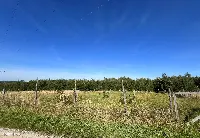 OLCHOWA – 2733 m² | 2 działki | pozwolenie na budowę 2 domów | projekty | media | możliwość kontynuowania budowy — zdjęcie 4