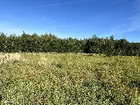 OLCHOWA – 2733 m² | 2 działki | pozwolenie na budowę 2 domów | projekty | media | możliwość kontynuowania budowy — zdjęcie 9