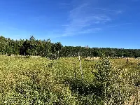 OLCHOWA – 2733 m² | 2 działki | pozwolenie na budowę 2 domów | projekty | media | możliwość kontynuowania budowy — zdjęcie 8