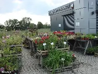 Lokal użytkowy — oławski, Jelcz-Laskowice — zdjęcie 12