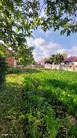 36 Arów! Dom, stodoła i stajnia wśród natury w gminie Wiślica — zdjęcie 7