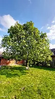 36 Arów! Dom, stodoła i stajnia wśród natury w gminie Wiślica — zdjęcie 10