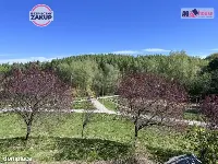 2 pokoje z widokiem na park w Gdańsku — zdjęcie 9