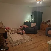 DZIAŁKA ROD MIĘDZYLESIE 450 m² — zdjęcie 9