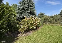 DZIAŁKA ROD MIĘDZYLESIE 450 m² — zdjęcie 2
