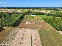 Zadbana działka rolna 2,93 ha – Kamionka — zdjęcie 6