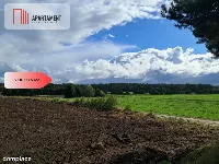 Dom bliźniak-Działka 600 m² z widokiem na Las — zdjęcie 8