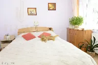 DOM - 2 mieszkania w jednym domu, Ogród, Garaże — zdjęcie 20