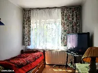 Dom z urządzonym i zadbanym ogrodem — zdjęcie 8