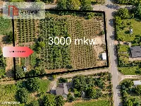 Działka pod zabudowę zagrodową - 2000 świerków — zdjęcie 10