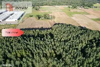 Siedlisko 11,75 ha z prywatnym lasem — zdjęcie 6