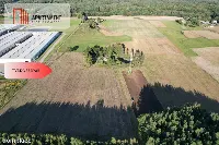 Siedlisko 11,75 ha z prywatnym lasem — zdjęcie 7
