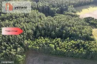 Siedlisko 11,75 ha z prywatnym lasem — zdjęcie 10