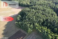 Siedlisko 11,75 ha z prywatnym lasem — zdjęcie 11