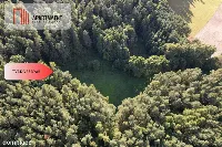 Siedlisko 11,75 ha z prywatnym lasem — zdjęcie 12