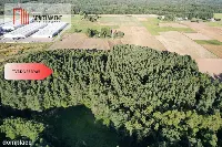 Siedlisko 11,75 ha z prywatnym lasem — zdjęcie 9