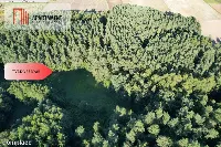 Siedlisko 11,75 ha z prywatnym lasem — zdjęcie 13