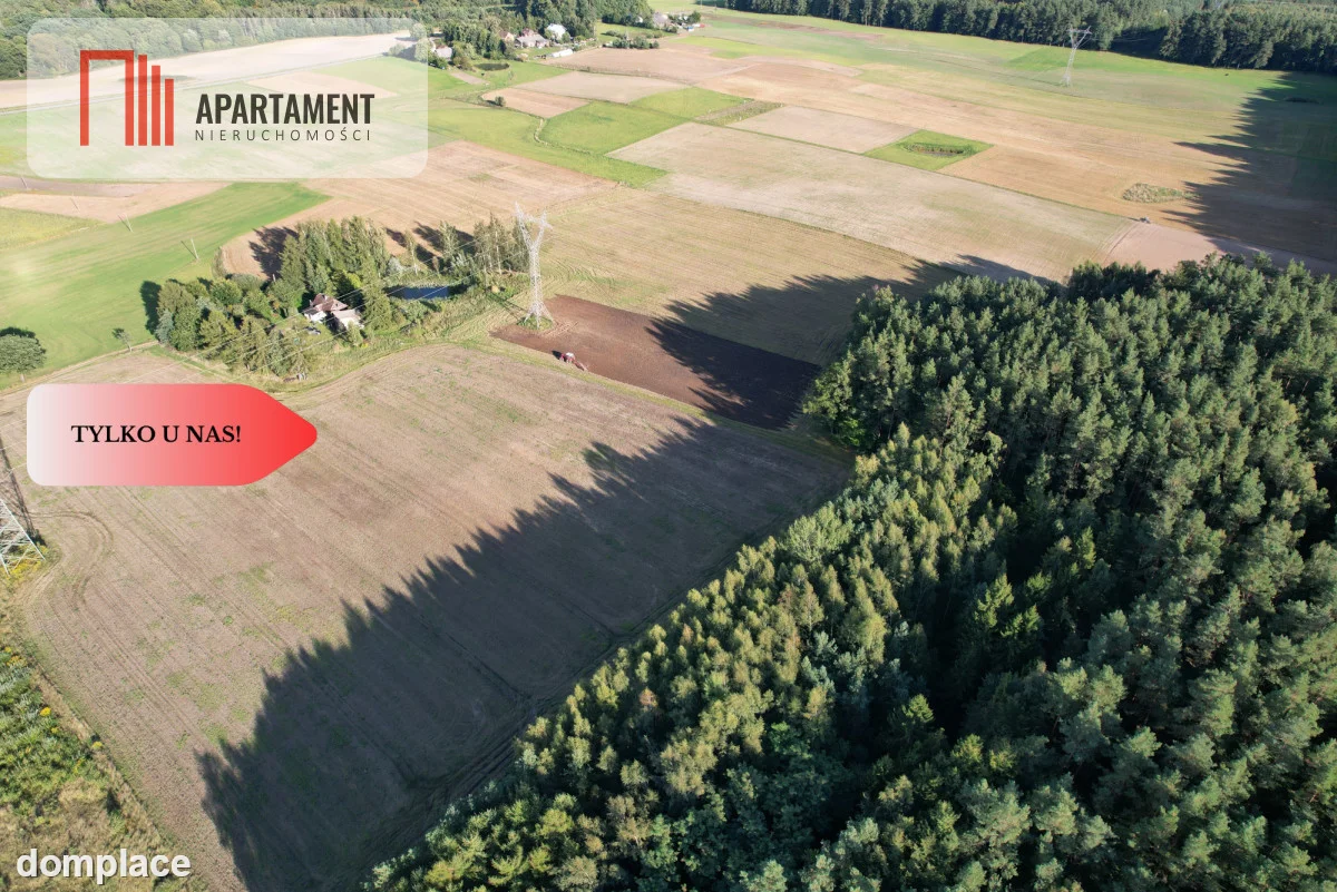 Siedlisko 11,75 ha z prywatnym lasem